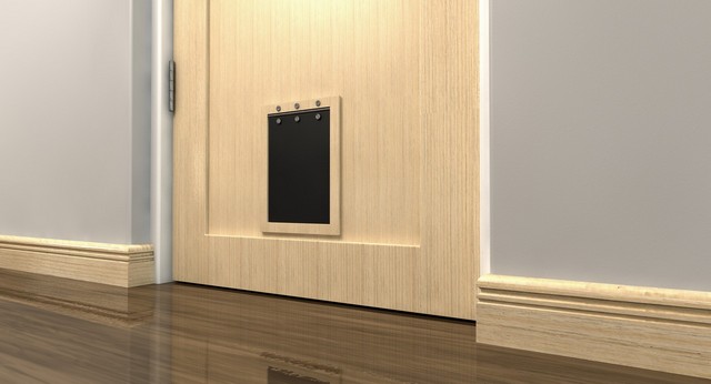 Cat Flap Installation Waltham Abbey, EN9