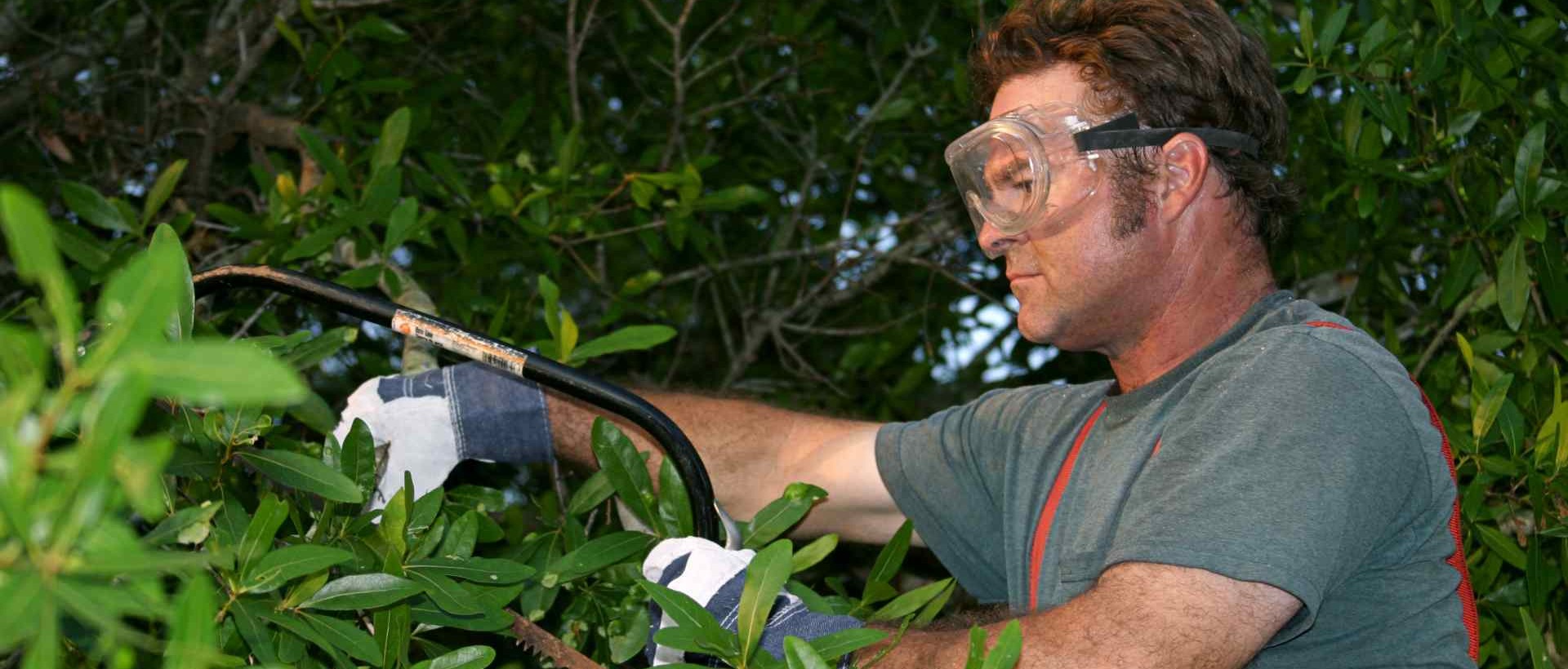 garden clearance EN9