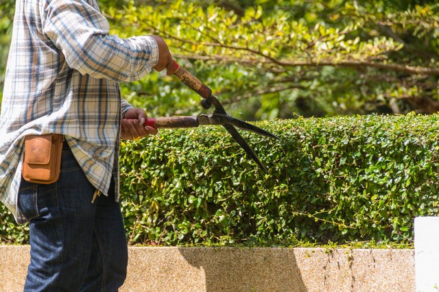 Garden Maintenance Waltham Abbey, EN9